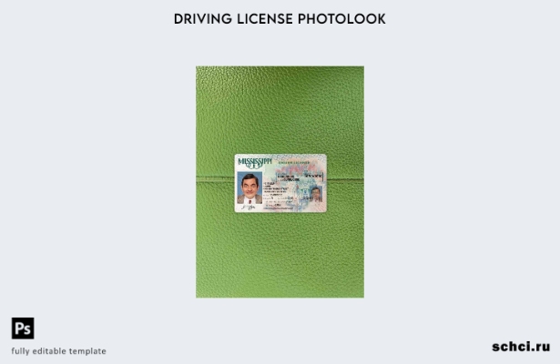 цифровая загрузка США, Миссисипи, шаблон DL Photolook FRONT